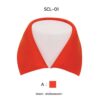 ปกเรียบธรรมดา scl-01-1