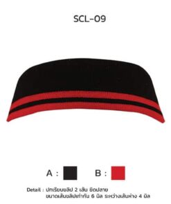 ปกเรียบขลิป 2เส้นชิดปลาย scl-09-3