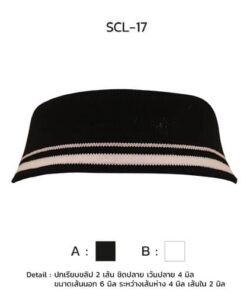 ปกเรียบขลิป 2เส้น ชิดปลาย scl-17-3