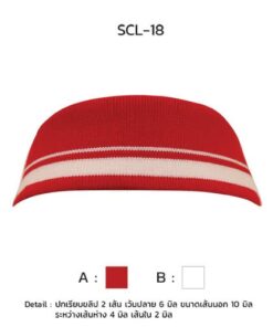 ปกเรียบขลิป 2เส้น เว้นปลาย scl-18-3