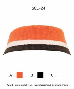 ปกเรียบขลิป 2เส้น ขนาดเส้นเท่ากัน scl-24-3