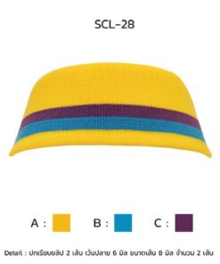 ปกเรียบขลิป 2เส้นเว้นปลาย scl-28-3