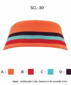 ปกเรียบขลิป 3เส้นเว้นปลาย scl-30-3