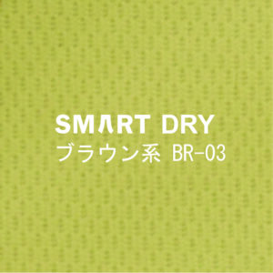 Smart DRY-BR-03