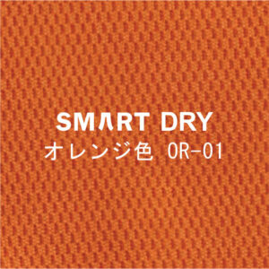 Smart DRY-OR-01
