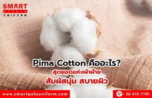 Pima Cotton คืออะไร สุดยอดแห่งผ้าฝ้าย สัมผัสนุ่ม สบายผิว