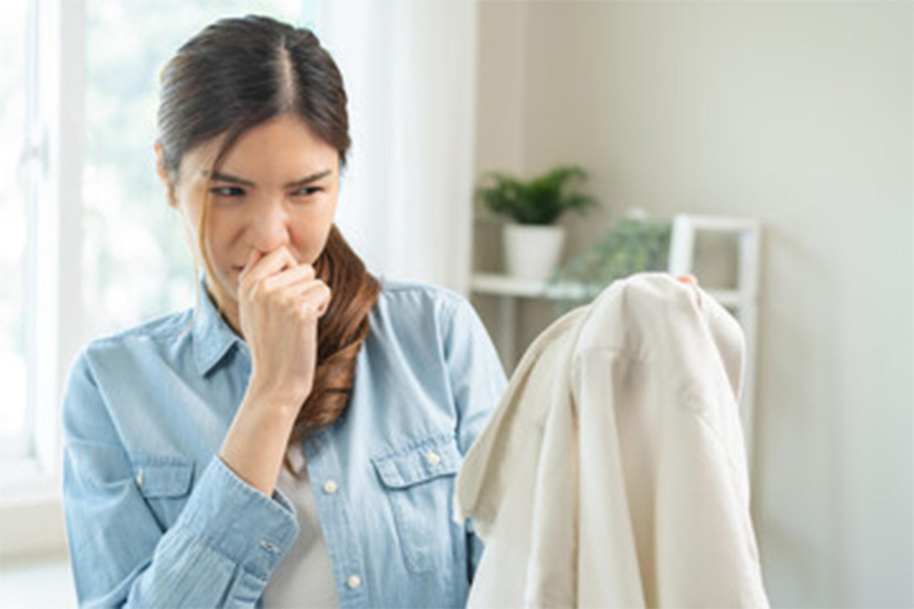 184542