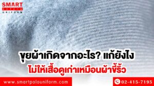 ขุยบนผ้า